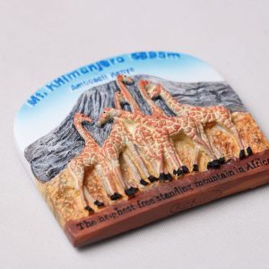 Fridge Magnets