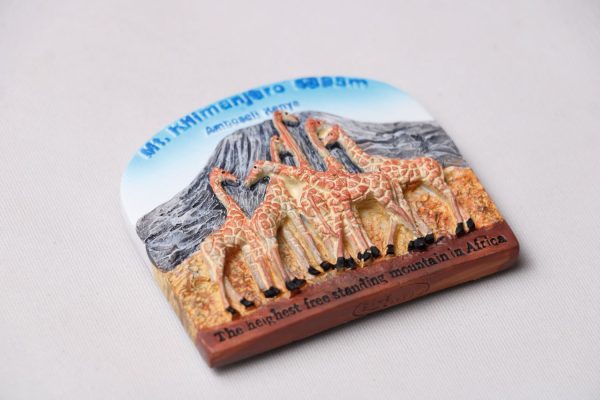 Fridge Magnets