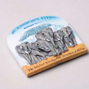Fridge Magnets