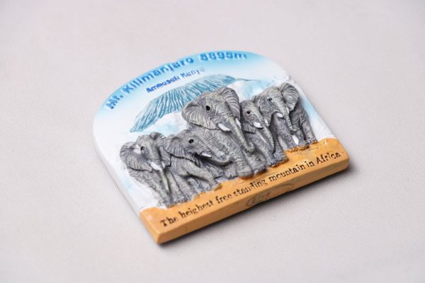 Fridge Magnets