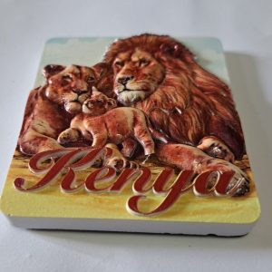 Fridge Magnets