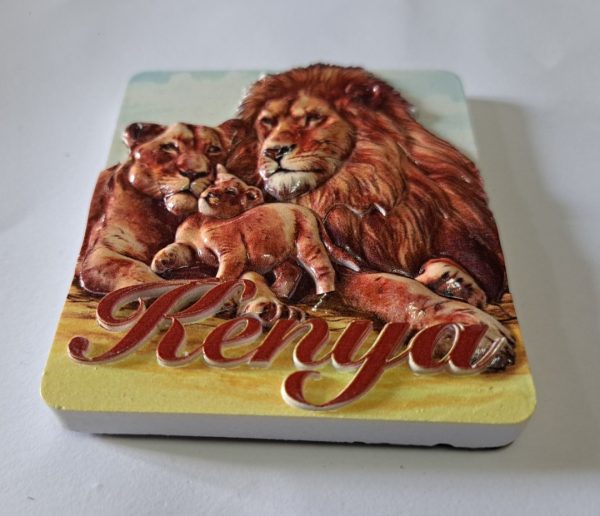 Fridge Magnets
