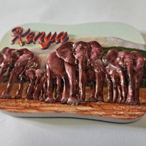 Fridge Magnets